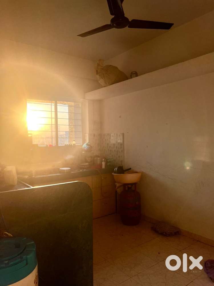 Girl Roommate requirement