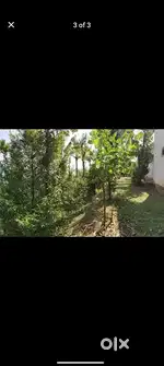 Urgent Sale 2.67 acres of land for Rs. 35,00,000/-