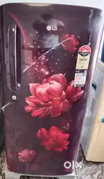 LG 185 L 4 star direct cool smart invert.