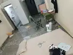 Need roommate