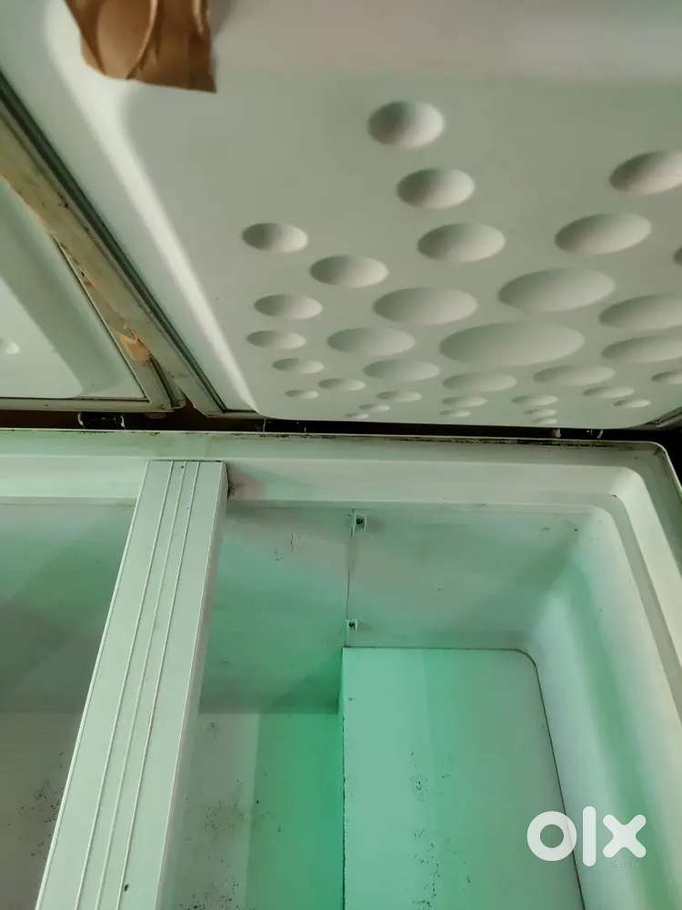 Blue star 300 L fridge commercial double door