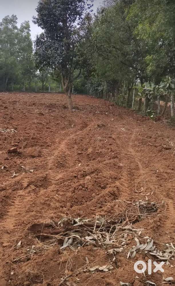 Sale for residential land peaceful location