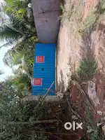 81.5 cent land for rent, organic farm land