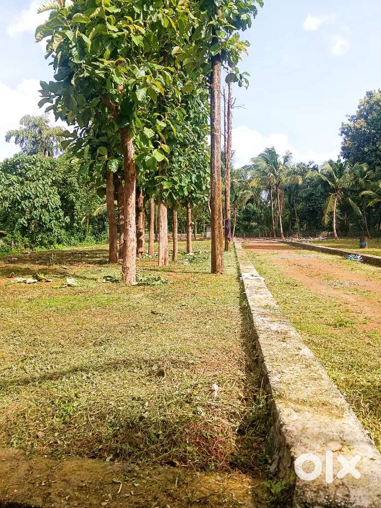 Mundur 8 cent, 6 cent, 7 cent plot for sale