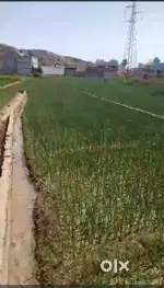 Premium Residential & Agricultural Land for Sale in Biyawani, Bihar Sh