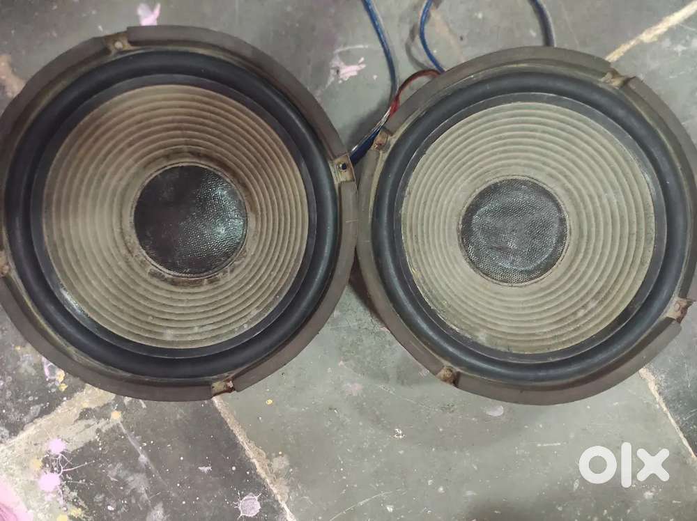 12 12 inch speaker