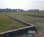 Plot for sell