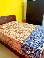 2bhk fully furnished apartment ground floor kaloor