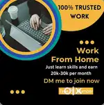 Online home work apply only for female