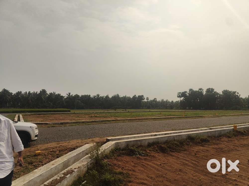 Plots for Sale Near Bhogapuram