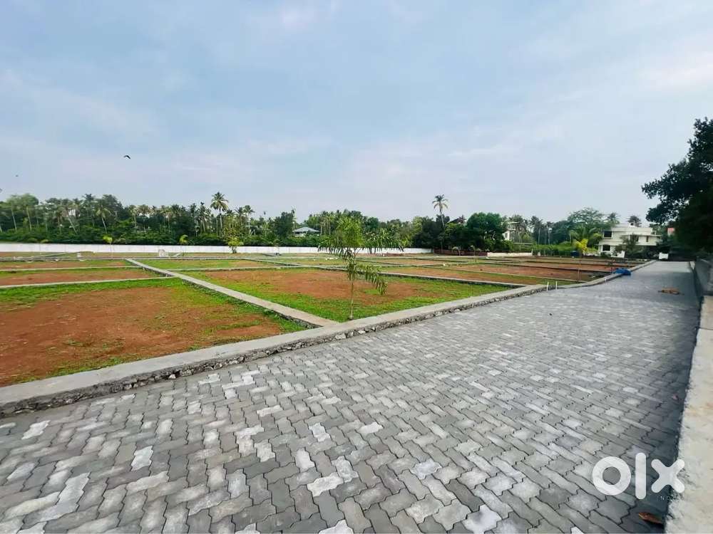 Nedumbassery near chengamanad 4,5,7,10 cents house plot for sale