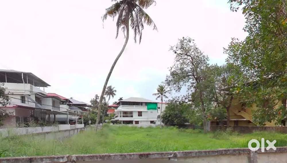 30 cent land for rent at Palarivattom