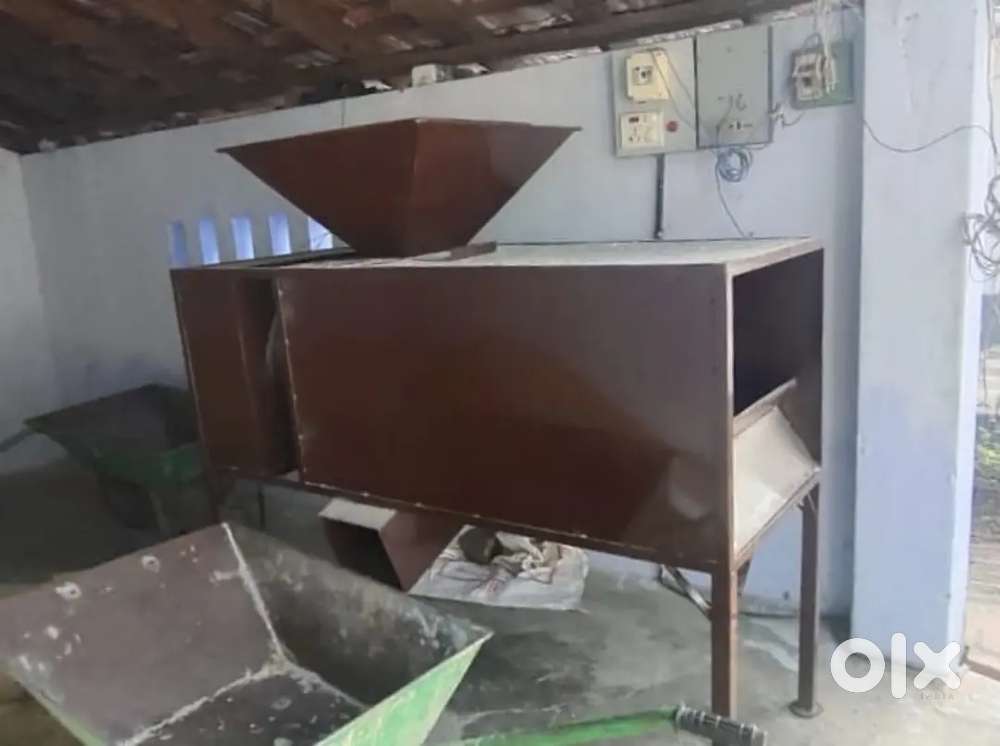 Paddy Windhove (kattu petti)