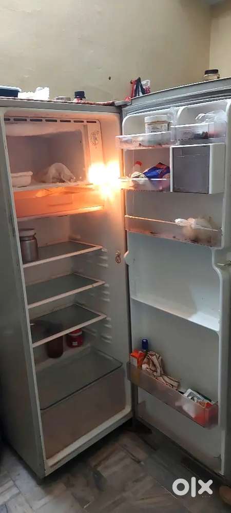 LG Refrigerator 270L