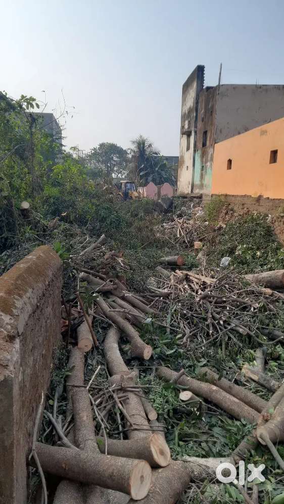 Opne land for rent in saraikella market