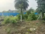 Plot for sale
