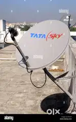 Dish Antenna