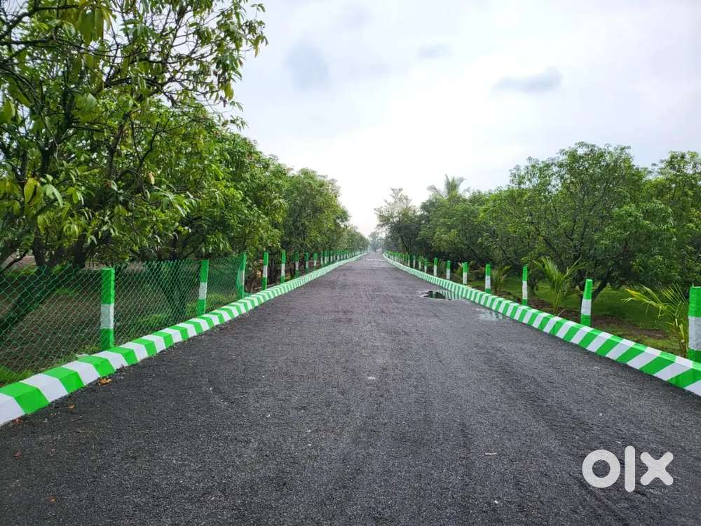 FARM LAND SALE IN ECR