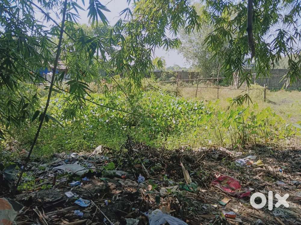 Near FULBARI Delhi public school