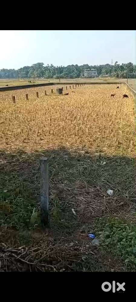 Ready for Flat , school or any house