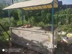 Fast food ka counter