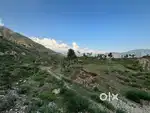 Hill View Property at Sarona (Road to Dhanulti)