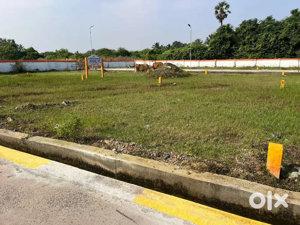 Pandur guduvanchery investment plots