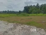 Plots and villas sale at pathripala palakkad
