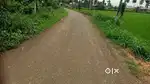 Ten acres agriculture paddy two crops land in tanuku udrajavaram area