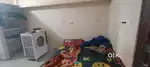 Need roommate