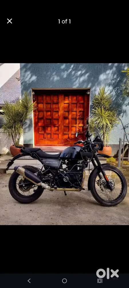 HIMALAYAN BLACK COLOUR