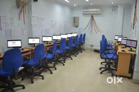 Software Developer