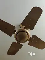 New fan buyed today only