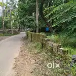 For urgent Sale:15.5 cents land and old house, good water, main road