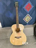 6 months old Mundane Acoustic Guitar for Sale