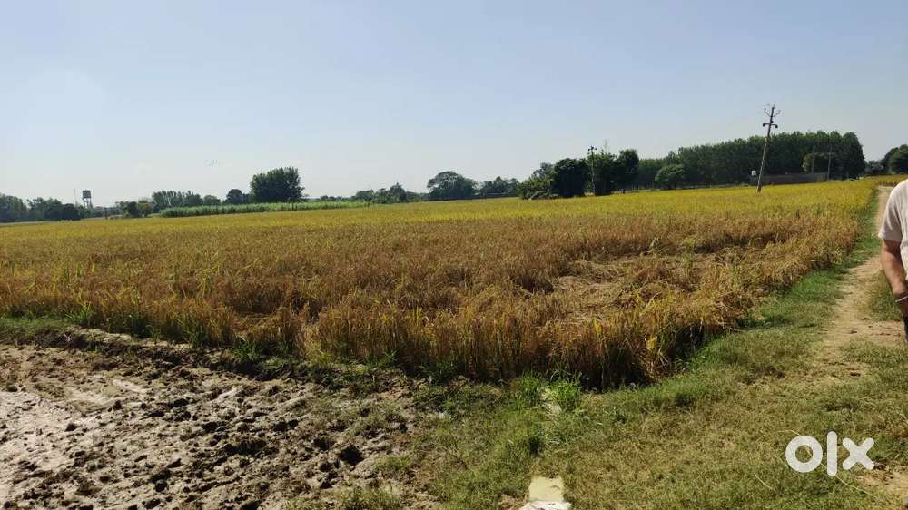 Agriculture land for sale in Kalewal, Kurali near BHARATMALA road