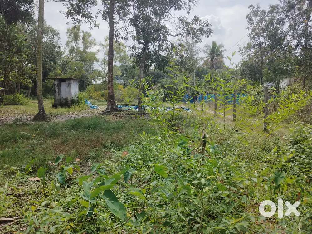 14.75 Cents Land for Rent