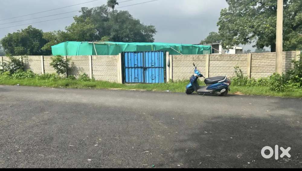 20 Decimal. 81 ft frontage. General plot/ Gharbari. Junha Purna. JSG