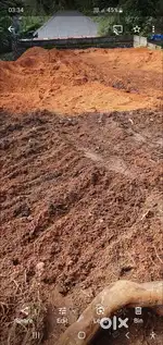 8 cent plot for sale