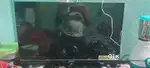 Sony tv lg