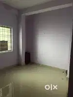 Need roommate
