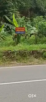 Selling 10 cent land
