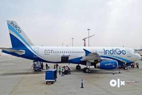 Cabin Crew/ Airport Ground Staff Jobs in Indigo airlines.Requirements in 2022.APPLY NOW !!Urgent Req...