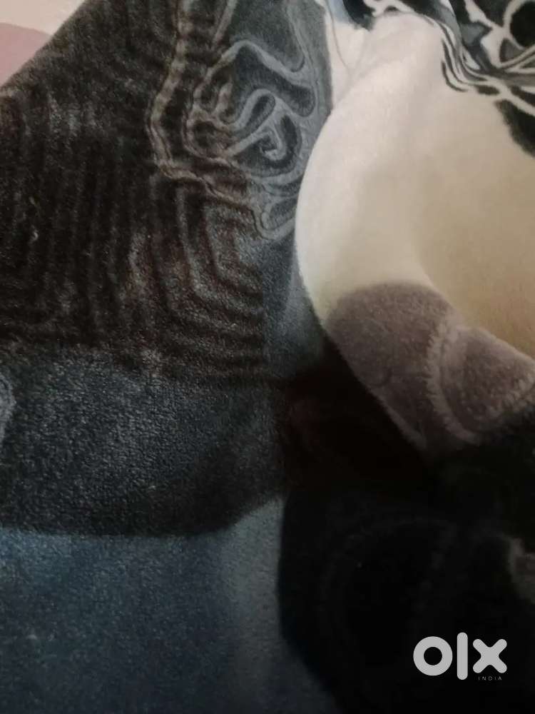 Job full time sonu sud ke ghar me