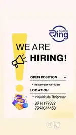 Collection executive jobs available