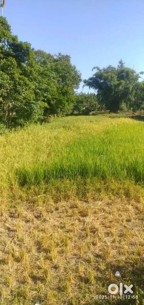 Land for sale 3katha