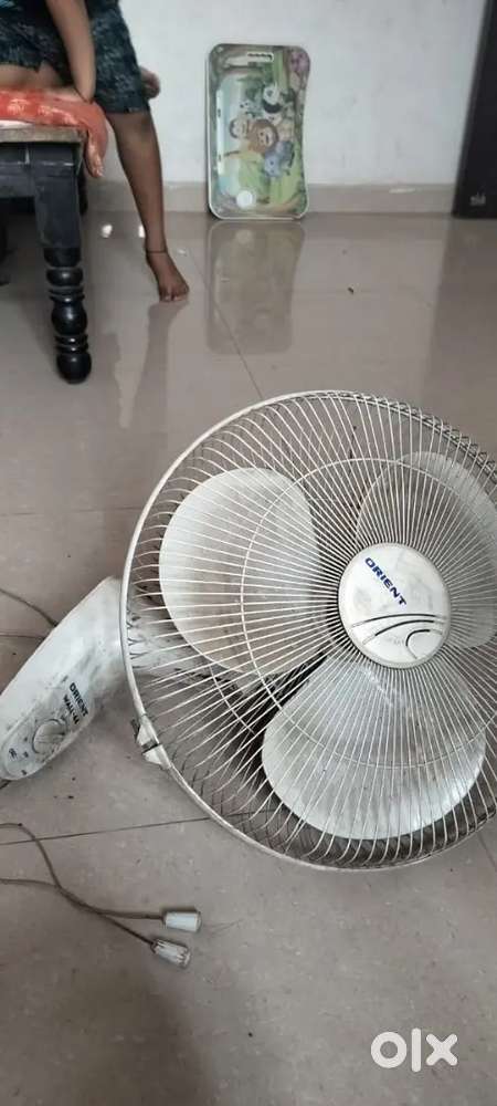 Ceeling and Wall Fan