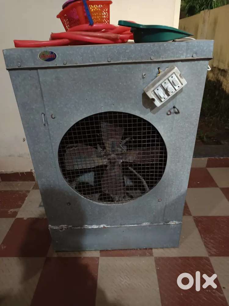 2 year old cooler