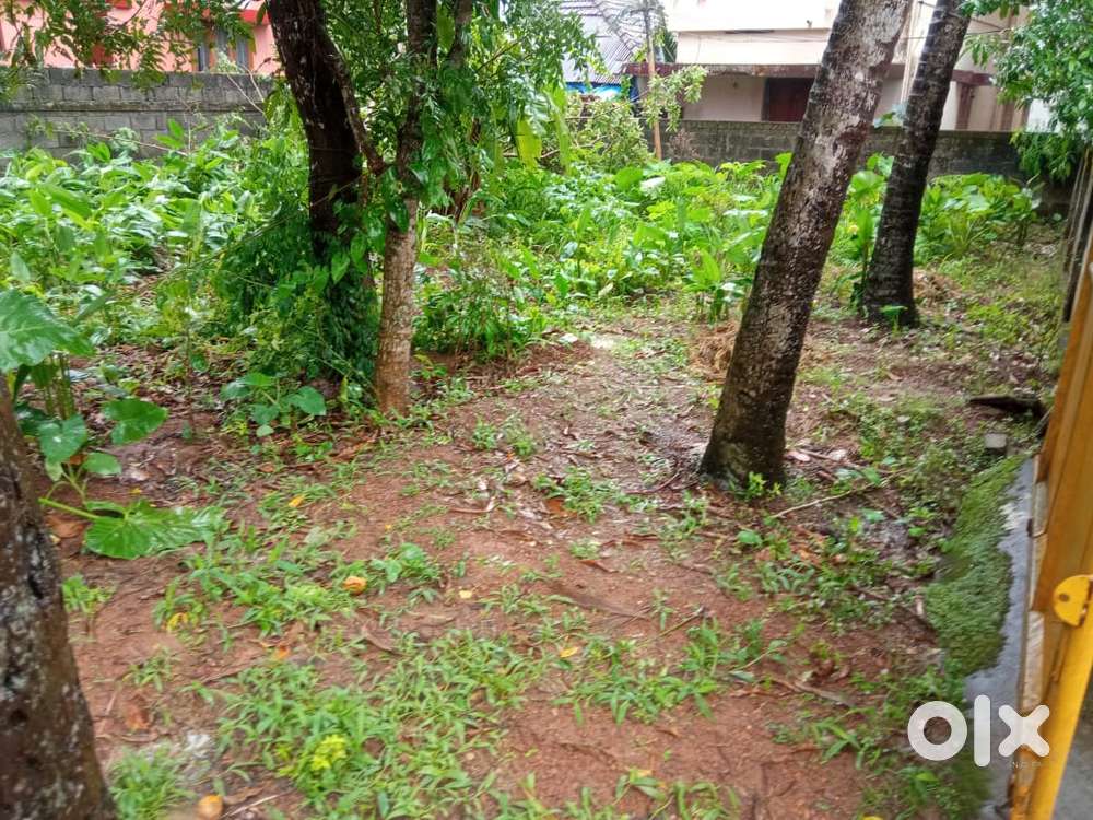 5 Cents Land For Sale Near Poojapura