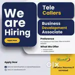 Sales officer